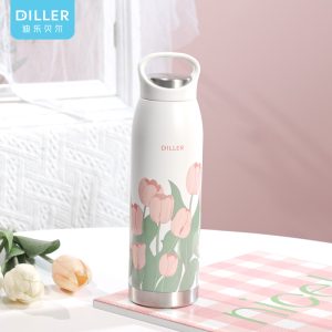 تراول 700 میل DILLER